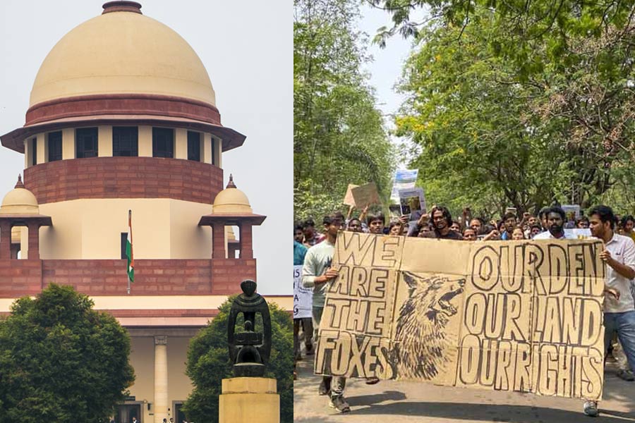 Supreme Court stays on land issue in Hyderabad after heartbreaking video of crying peacocks goes viral