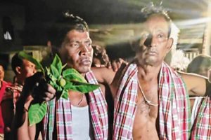 Burflower use from five centuries in Ausgram