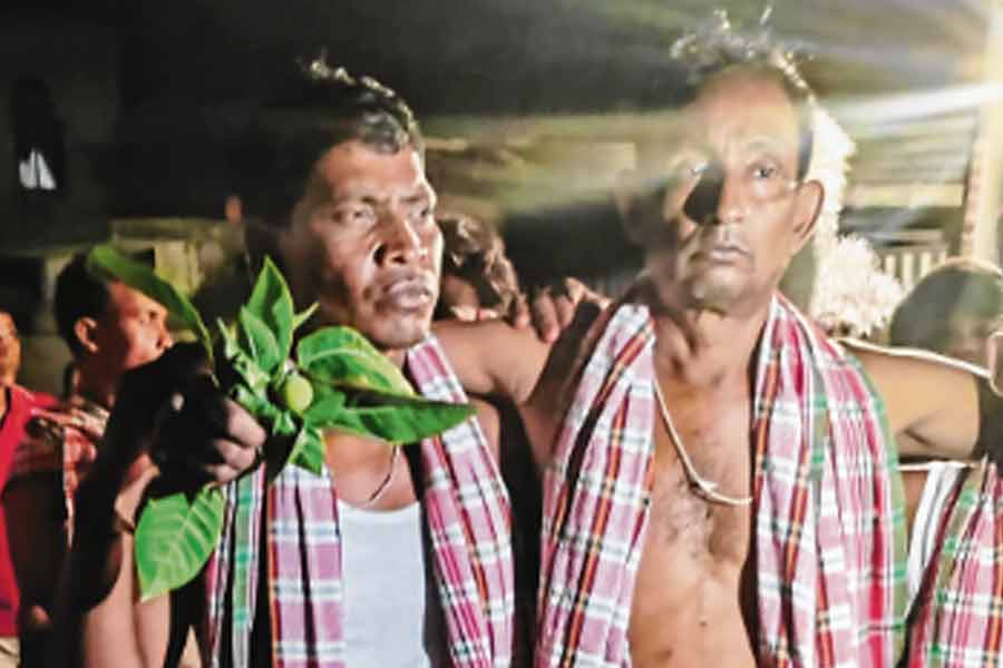 Burflower use from five centuries in Ausgram