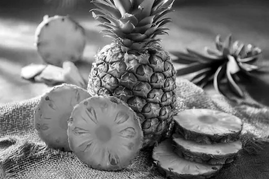 Pineapple cultivation increase in Chopra