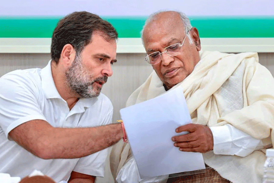 Congress's 'gag order' after leaders' Jammu and Kashmir remarks, says they speak for themselves