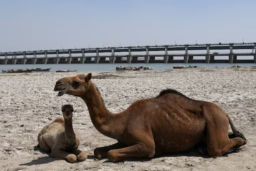 Pakistan Army and govt have huge canal crisis at home
