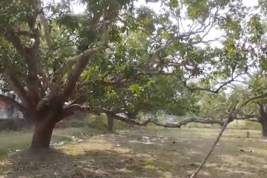 Newborn baby girl rescued in Basirhat
