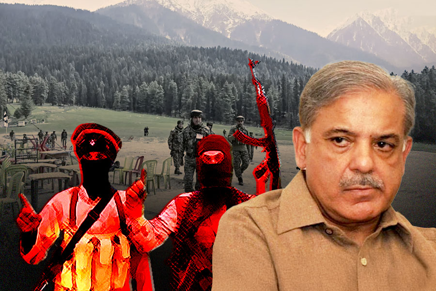 Pakistan got UNSC to drop mention of LeT offshoot TRF